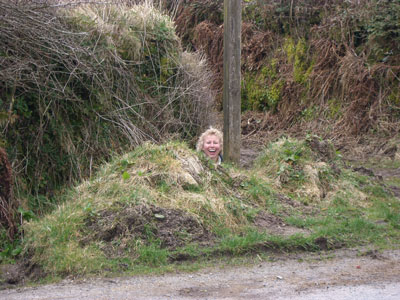 A little light relief