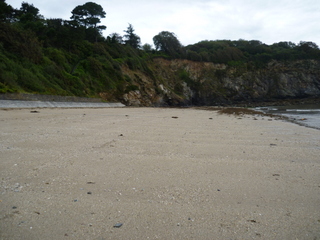 An empty beach in August!