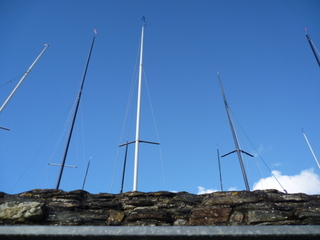 An array of masts