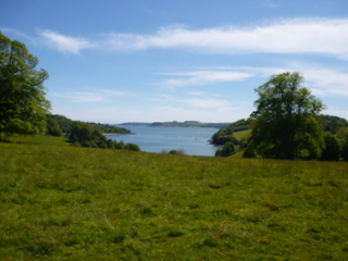 River Fal from Trelissick