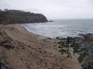 A windswept beach